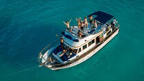 Boating Experience in Cancun Bay. All inclusive.