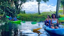 Historic Hilo Bay and Coconut Island Guided Kayak Adventure