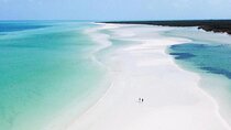 Hidden Beauty at Holbox Island Tour! From Cancun & Riviera Maya