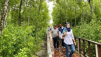 Breakfast Tour at Royal Town of Klang with Local + Mangrove Walk