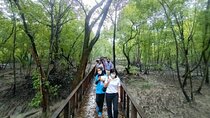 Small Group Tour to Royal Town of Klang plus Mangrove Point