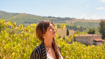 Florence: Private Half-Day Chianti Tour and Wine Tasting Optional