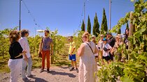 Siena, San Gimignano and Chianti Wines Day Tour from Florence