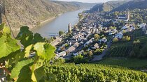 Private day trip to the Romantic Rhine Valley with river cruise and wine tasting