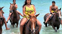 ATV, Zipline, Horseback, Bamboo Rafting & Catamaran in Jamaica