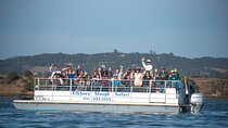 Wildlife Safari Boat Tour in Scenic Monterey Bay Wetland