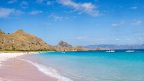 Pink Beach Lombok snorkeling & Day Trip Departure from Lombok