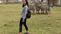 Shared Safari Walking Tour in Naivasha with Boat Ride