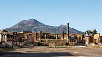  Pompeii and Vesuvius Tickets Included Half Day - Private Tour