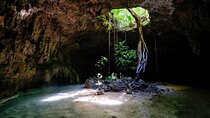 Private Tour Cenotes Sac Actun The Longest Underground River