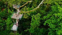 1 Day Tree Climbing and Rappelling Experience with Accommodation