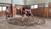 Experience the Sumo World in Tokyo