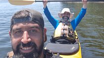 4-Hour Guided Kayak Experience in Rio de Janeiro