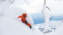 4-Day Private powder-snow ski tour.(Hakuba/Niseko/Furano)