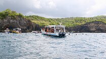 Nusa Penida Tour and Private Snorkelling at Manta, Gamat, Wall