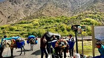 2 days Mount Toubkal Summit From Marrakesh 