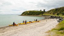Hallertau Clevedon Kayak Tour