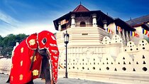 Full Day Kandy City Tour | From Colombo