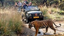 7-Day Golden Triangle Tour with Ranthambore Tiger Safari