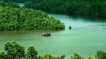 Can Gio Mangrove Forest Island Private Tour From Ho Chi Minh City