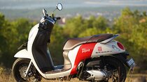 Honda Scoopy Rental in Bali