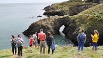 Day Tour from Dublin to Wicklow: Cliffs, Heritage, Wildlife, Gaol
