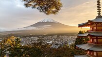 Private Tour to Mt Fuji and Hakone with English Speaking Driver