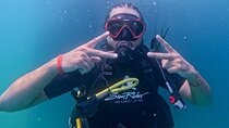 Los Cabos Open Water Diver Course