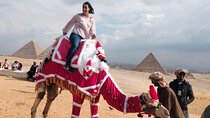 Half day Giza pyramids and Sphinx tour with an Egyptologist