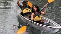 Austin Glass Bottom Kayak Tour with Olympian
