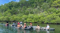 Crystal Kayak & Snorkel Eco Tour (with transfer)