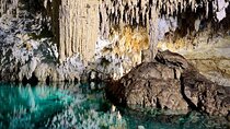 2 Cenotes Guided Snorkeling Adventure in Tulum