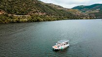 Valley of the Douro: Private Tour Electric Boat 1h With Wine Tasting