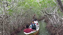 Artisanal Canoe Tour in the Mangrove with Afro-Caribbean Dance