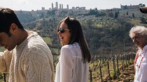 Tuscany Experience: Pisa, Siena, San Gimignano & Wine Tasting