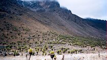 4 Days and 3 Nights Mount Kenya Tour