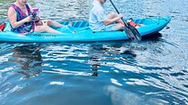 Dolphin and Manatee Kayak and SUP Adventure Tour of Cocoa Beach