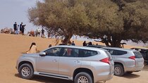 Full-Day Tour of the Little Sahara, Tiznit & Local Lunch