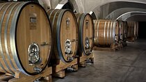 Tour Privado: Bodegas por el día en Mendoza