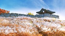 Day Trip to UNESCO: Suwon Fortress Adventure from Seoul