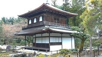 Kyoto Philosophy Walk with Philosopher (Private/6.5 hour)