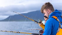 Sea Fishing Experience from Reykjavik