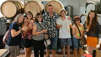 Wine Tourism Half Day Tour