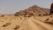 Wadi Rum Full Day Jeep Tour