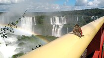 Brazilian Side of the Cataratas and Parque Das Aves with tickets
