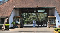 Nairobi National Park