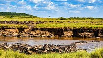 3 Days 2 Nights Maasai Mara Guided Safari Tour