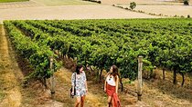 Relaxed Half Day Yarra Valley Wine Tasting Tour from Melbourne