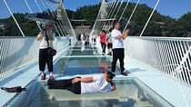 Zhangjiajie National Forest Park(Avatar) & Glass Bridge Private Day Tour