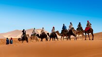 3 Day Trip from Marrakech to Merzouga 
